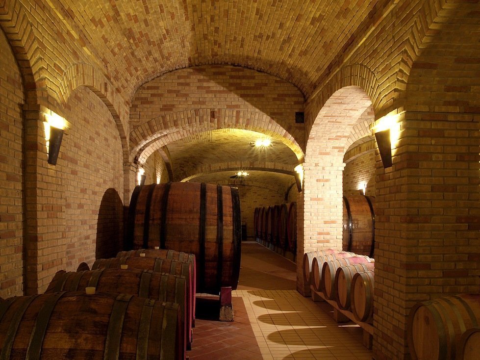 Укладка клинкера и камня в интерьере