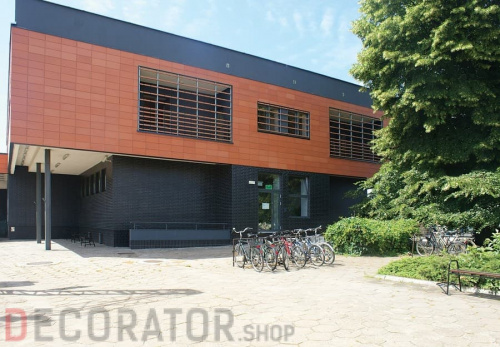 Клинкерная плитка KING KLINKER Dream House 08 Polar night RF10, 250*65*10 мм в Курске