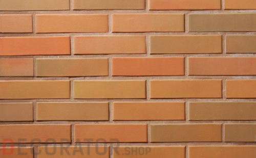 Кирпич керамический пустотелый Lode Rudite гладкий, 250*120*65 мм в Курске