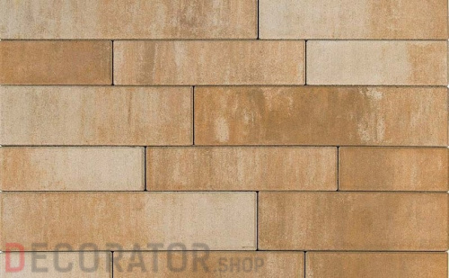 Плитка тротуарная BRAER Домино Color Mix "Плато" 120/160*60 мм в Курске