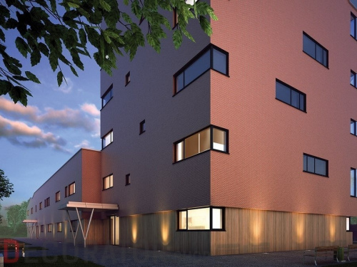 Клинкерная плитка KING KLINKER Dream House 19 Ruby flame RF10, 250*65*10 мм в Курске