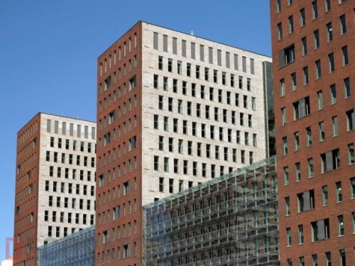 Плитка ручной формовки Terca Bronsgroen, 215*65*22 мм в Курске