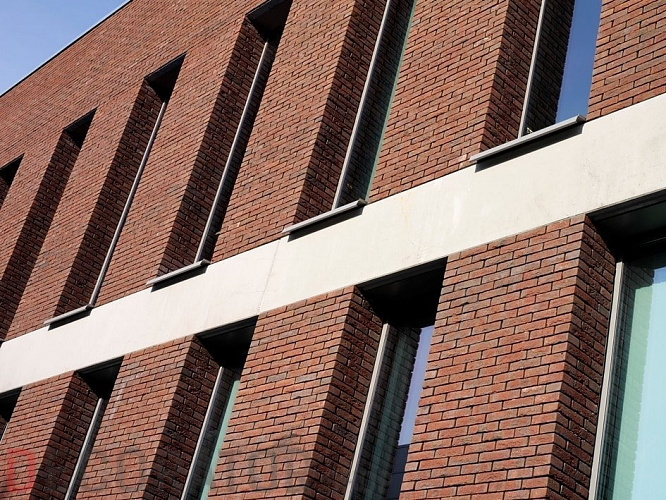 Плитка ручной формовки Terca Blauw-rood Genuanceerd (65mm JACOBEAN BLUE/RED MULTI), 215*65*22 мм