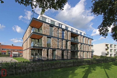 Кирпич ручной формовки ENGELS Barnsteen, 215*45-50*65 мм в Курске