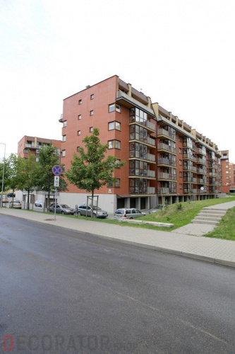 Кирпич керамический пустотелый Lode Janka гладкий, 250*120*65 мм в Курске