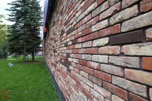 Кирпич керамический пустотелый Lode Asais Brunis шероховатый, 250*120*65 мм в Курске