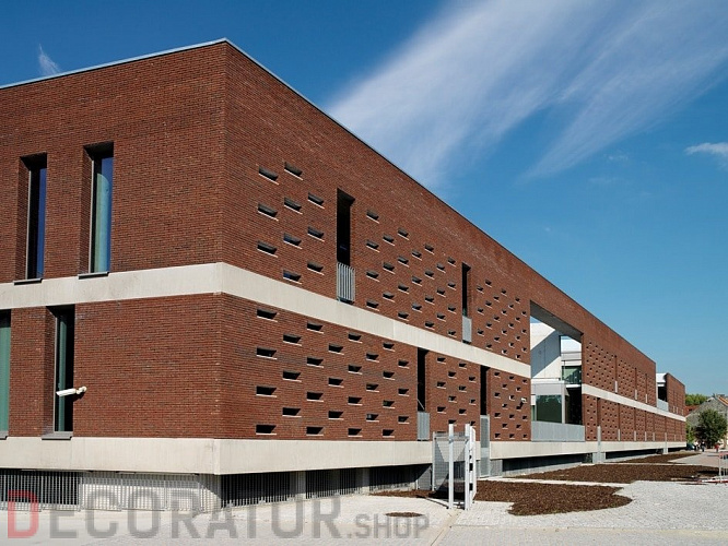 Плитка ручной формовки Terca Blauw-rood Genuanceerd (65mm JACOBEAN BLUE/RED MULTI), 215*65*22 мм