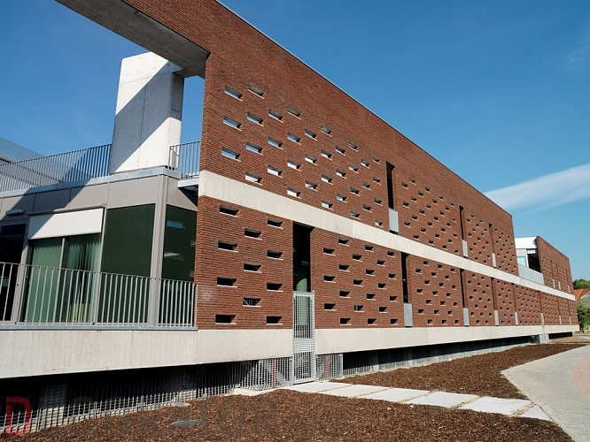 Плитка ручной формовки Terca Blauw-rood Genuanceerd (65mm JACOBEAN BLUE/RED MULTI), 215*65*22 мм