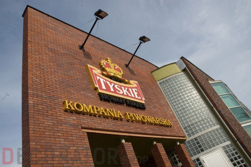 Кирпич клинкерный пустотелый LHL Klinkier i AKA (CRH) Rustika PERFOROWANA рельефный, 250*120*65 мм в Курске