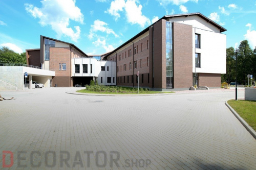 Кирпич керамический пустотелый Lode Brunis гладкий, 250*120*65 мм в Курске