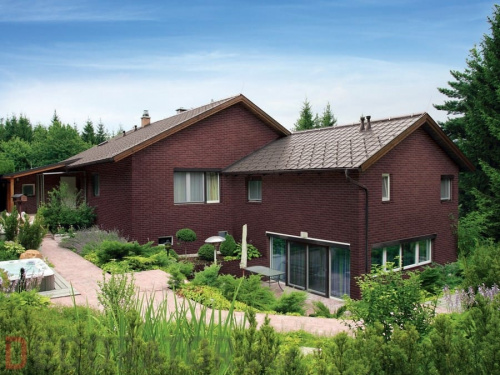 Клинкерная плитка KING KLINKER Dream House 07 The crimson island RF10, 250*65*10 мм в Курске