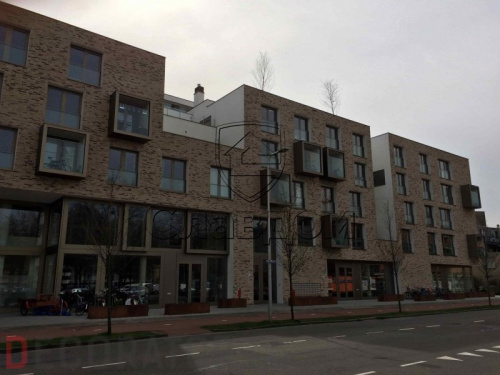 Кирпич ручной формовки ENGELS Ladoga, 215*45-50*65 мм в Курске
