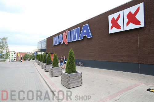Кирпич керамический пустотелый Lode Asais Brunis шероховатый, 250*120*65 мм в Курске