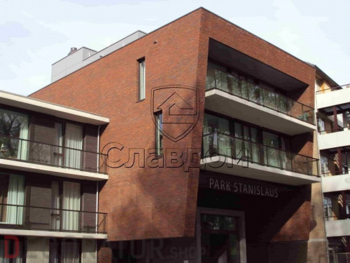 Кирпич ручной формовки ENGELS Limburgs oranje bont, 215*45-50*65 мм в Курске