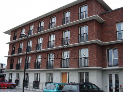 Кирпич ручной формовки ENGELS Hoevesteen, 215*45-50*65 мм в Курске