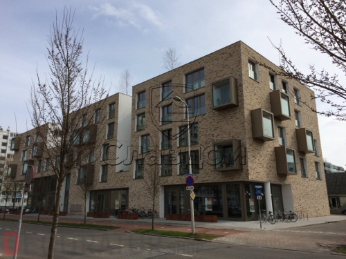 Кирпич ручной формовки ENGELS Ladoga, 215*100*65 мм в Курске