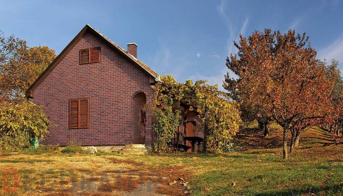 Клинкерная плитка KING KLINKER Old Castle Aria Rustica (HF21) под старину NF10, 240*71*10 мм в Курске