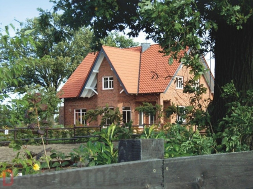 Кирпич облицовочный ручной формовки Terca Pastorale, 215*102*50 мм в Курске