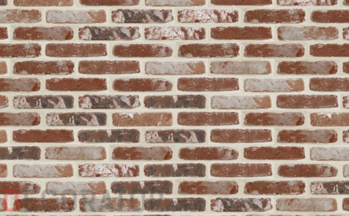 Кирпич облицовочный ручной формовки Terca Oud Kempisch, 188*88*48 мм в Курске