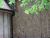 Кирпич ручной формовки ENGELS Taiga, 215*45-50*65 мм в Курске